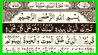 Beautiful recitation of Surah Al Mulk | سورۃ الملک | Qari Tehzeeb Bhai