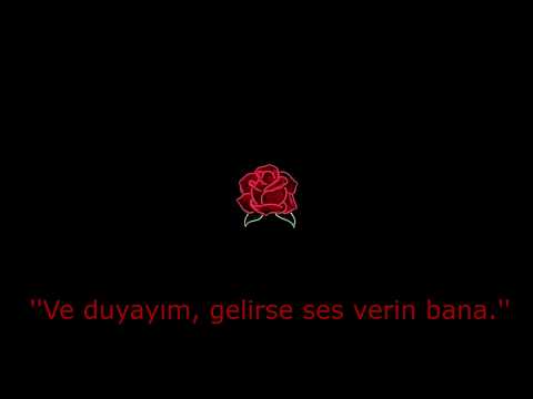 Bilmelisin - prodby. Samet Üstün (Official Audıo) #2018