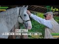 Ecuéstria: La Conexión entre Caballos y Jinetes - TvAgro por Juan Gonzalo Angel