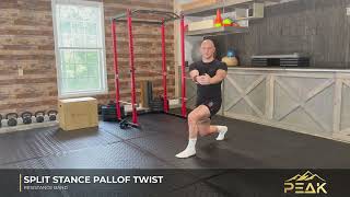 Band Split Stance Pallof Twist | Core Stability & Rotation