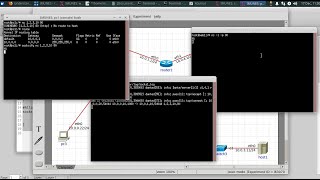 SOCKS Server and Client Configurations using IMUNES Network Emulator