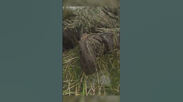 Ghost got on the... 💀