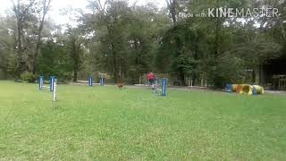 Rikki September 2020 Ss Premier