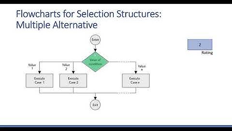 Decision / Selection Structures