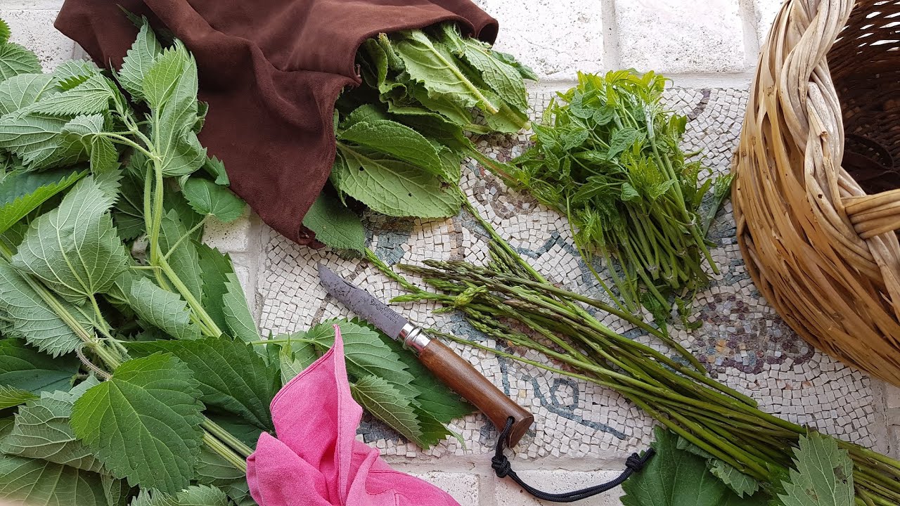 Raccolgo ERBE SPONTANEE e le cucino per cena