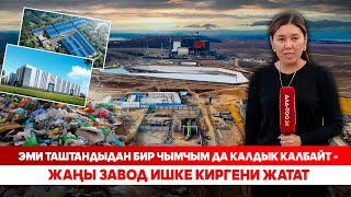 видео: Карга-кузгун каптаган таштанды талаа жашыл шаарчага айланат картинка: Карга-кузгун каптаган таштанды талаа жашыл шаарчага айланат