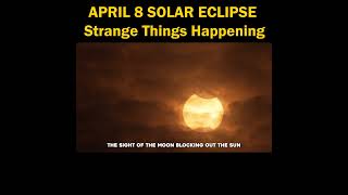 APRIL 8 SOLAR ECLIPSE Strange Things Happening