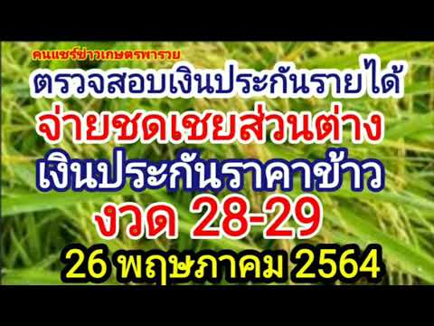 เช็คประกันรายได้ ชดเชยส่วนต่างเงินประกันราคาข้าว 2829