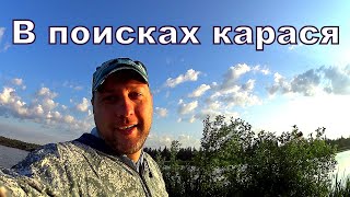 Ловля карасей на донную снасть в рыбхозе &quot;РАКОВО&quot;