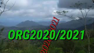 SET STYLE ORG 2020 WAV TARIK SISSS SEMONGKO (gratis)