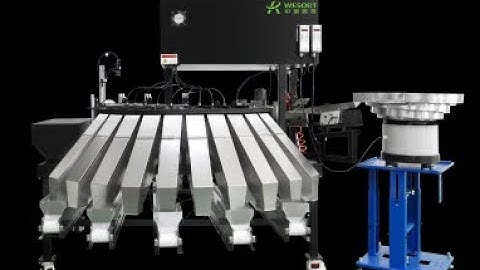 Wesort Walnut AI  Sorting machine