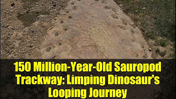 150 Million-Year-Old Sauropod Trackway: Limping Dinosaur