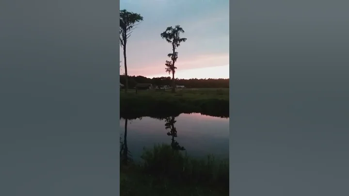 Night sounds of home