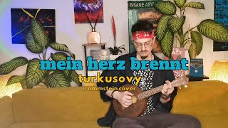 turkusovy - mein herz brennt (rammstein cover/ukulele version)