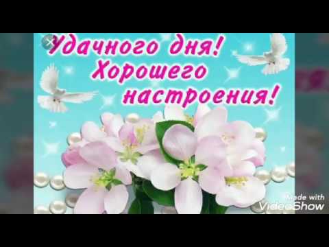 Позитивного и удачного тебе дня ,и хорошего настроения