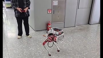 [RUBI]Development and Reinforcement Learning based Control of RUBI