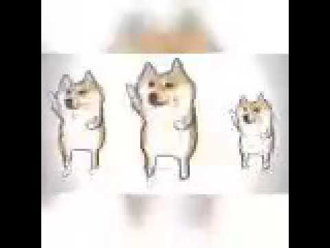 1 Час Танцуют Собаки