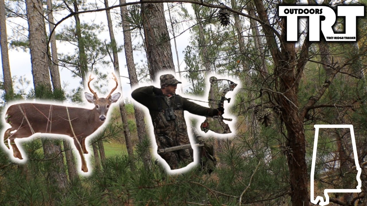 Hunting Opening Day Of The Alabama Gun Season With A Bow - YouTube