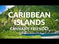 Top 6 cannabis friendly caribbean islands  2023  utlra  travel