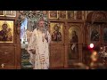 Проповедь архиепископа Феогноста: "Но что же такое духовная жизнь? "