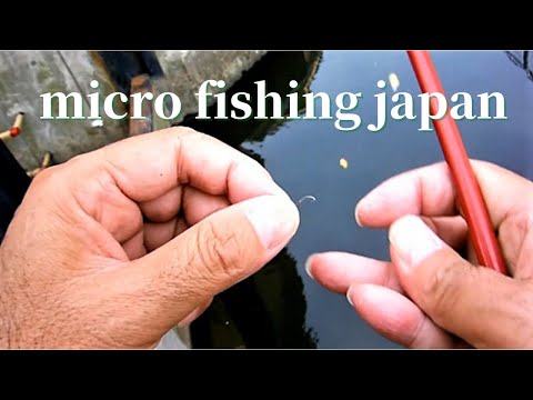 TANAGO micro fishing with Cane pole