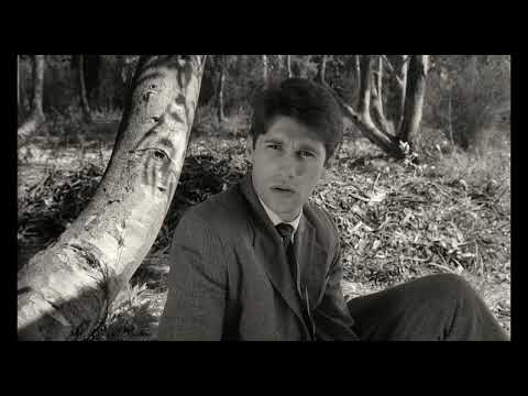 Os Verdes Anos — trailer