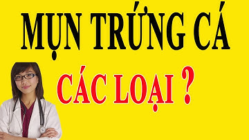 [ Hướng Dẫn ] Phân Biệt Các Loại Mụn Trứng Cá Phổ Biến Hiện Nay