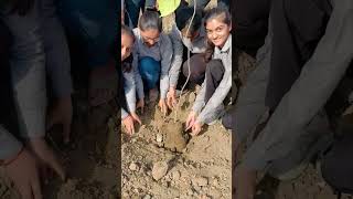 World Environment Day