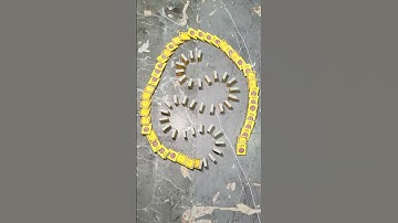 Asmr | Domino Effect Taking Over The Internet #392