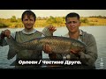 🏆Турнір "IRON FISH"  - 6 Этап, водойма "Орлеан". 2 частина | Телеканал #Трофей