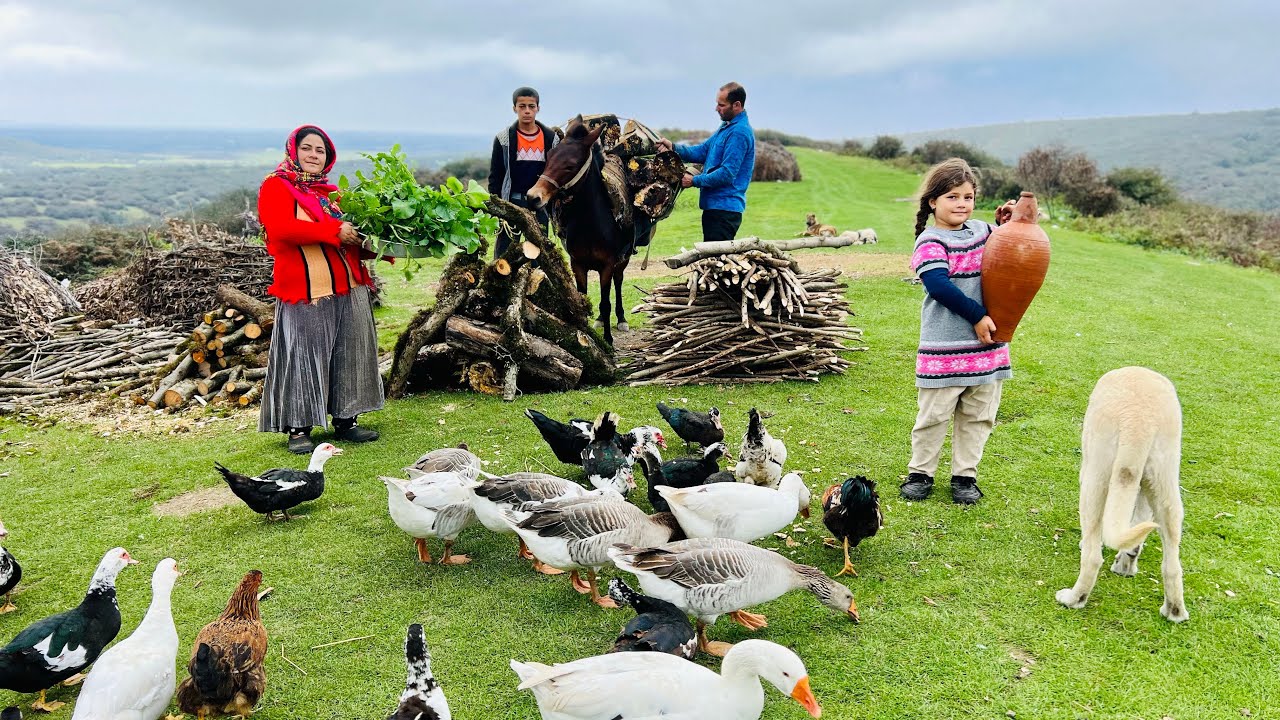 First Snowfall of Autumn in the Mountains | Nomadic Family’s Battle Against the Cold