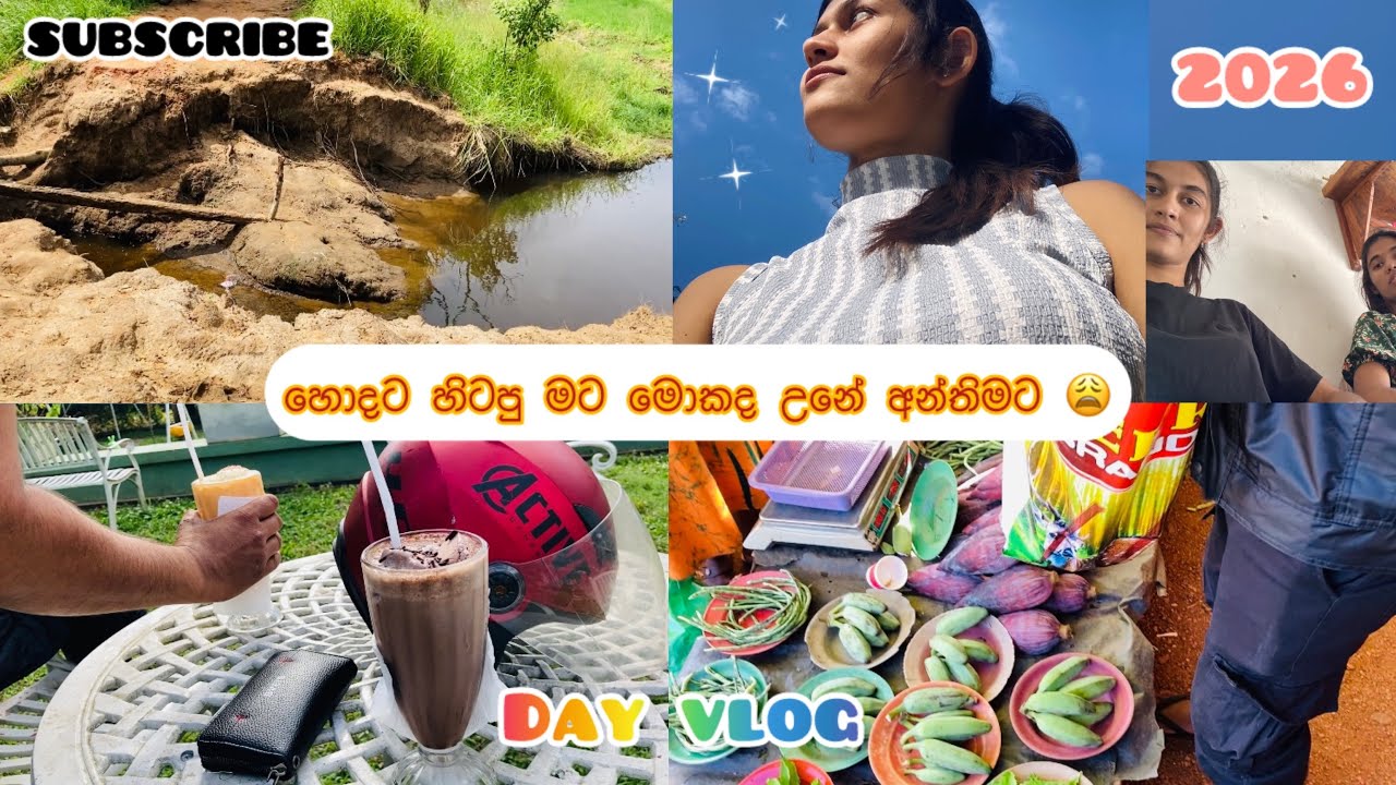 පරක්කු වෙලා දාන vlog එක 😒|චුට්ටක් නිදහසේ හිටියා 🍃|පොළටත් ගියා 🥬🥕🥒|