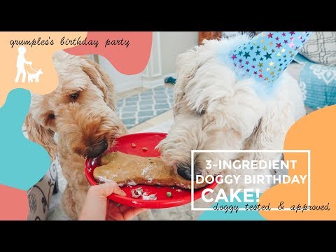 3-ingredient-doggy-birthday-cake-for-grumples