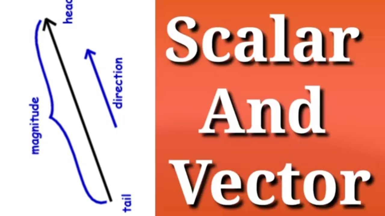 Scalar and Vector |Class- 11| Part - 1|Motion in a Plane|| Chapter 04