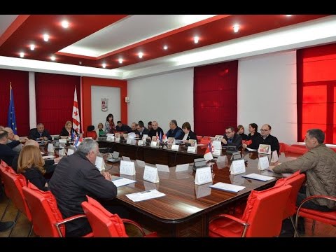 09.01.2017 რუსთავის საკრებულომ დღევანდელ რიგგარეშე სხდომაზე ორ საკითხს უყარა კენჭი