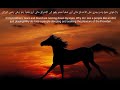نشيد شكوى انشاد ابو حذيفة وابو أسيد نشيد شكوى انشاد ابو حذيفة وابو أسيد