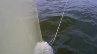 Code 5 sailing with Gabor (www.meder.hu)