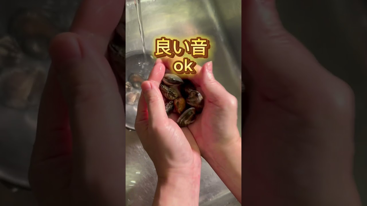 How to distinguish between different types of clams #shorts - YouTube