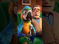 Street Interviews: When Animals Talk! 🐶🐱🐦 #animalinterview #funnyshorts