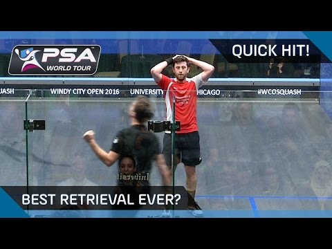 QuickHit: OUTRAGEOUS DIVE & WINNER - BEST RETRIEVAL EVER?