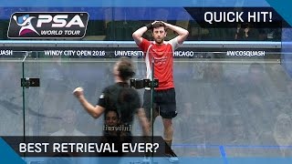 QuickHit: OUTRAGEOUS DIVE & WINNER - BEST RETRIEVAL EVER?