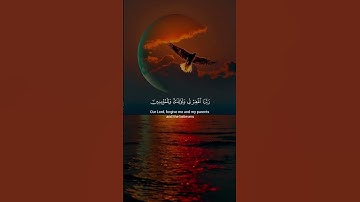 آية 40؛41من سورة إبراهيم #اكسبلور #لايك #أكتب شئ تؤجر عليه #فولو