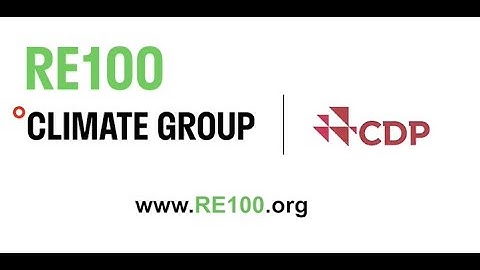 What is RE100?