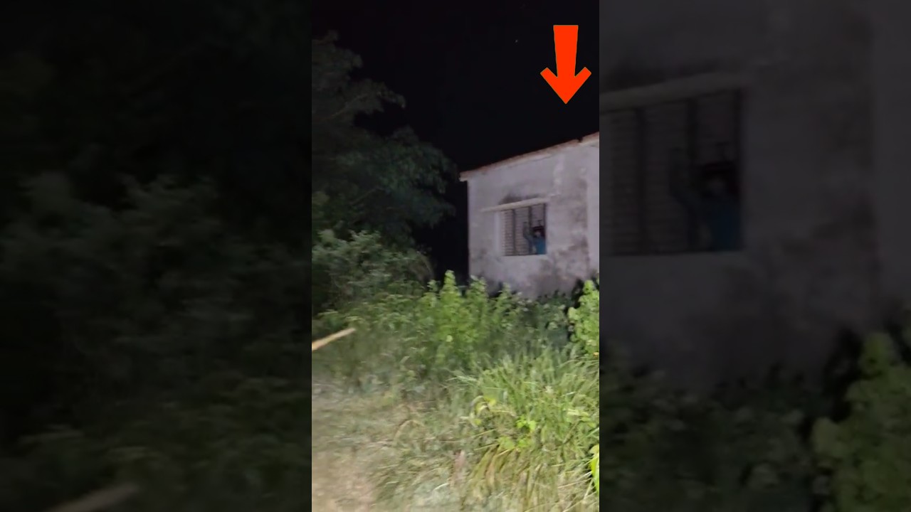 Serbian Dancing Lady | Part 8| sr heits vlogs 