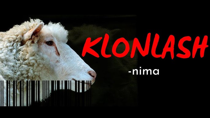 Bakalavr Maksim Polina bilan jinsiy aloqada bolgan.