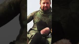 Celebrity #fish #viral #discovery #python(4) Net Worth