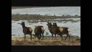 MY HEART'S IN THE HIGHLANDS   SHONA DONALDSON  AND KATIE MACKE chords