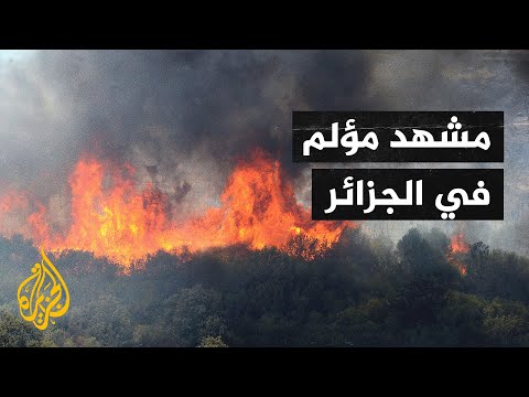 مشاهد الحرائق المرعبة في الجزائر تتصدر منصات التواصل