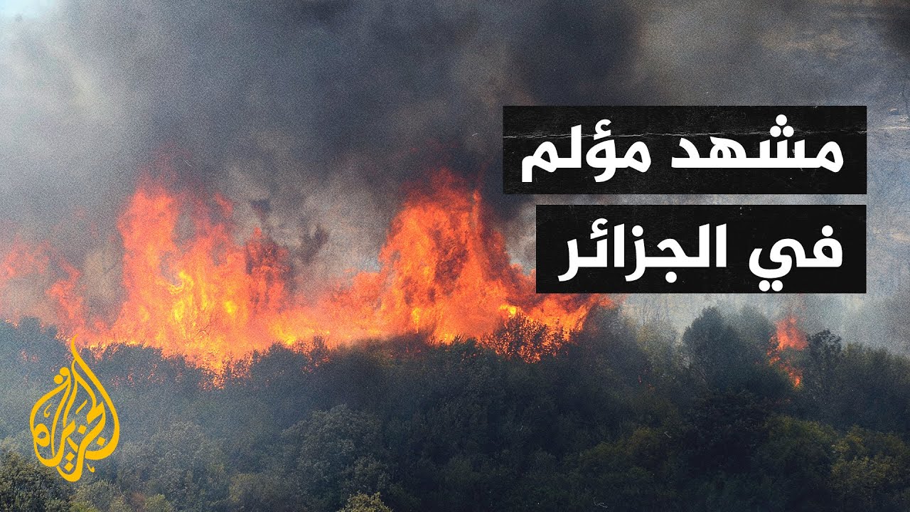 مشاهد الحرائق المرعبة في الجزائر تتصدر منصات التواصل