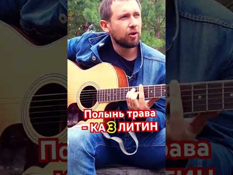 Видео: Полынь трава - Казлитин